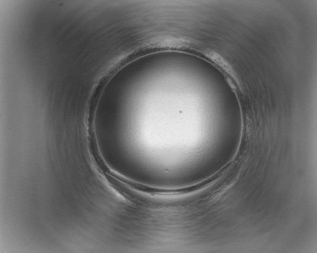 X0000072510581200607290135