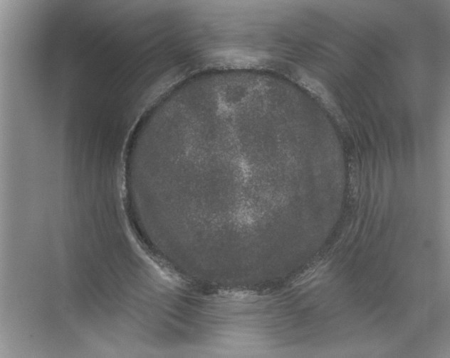 X0000072510582200607290135