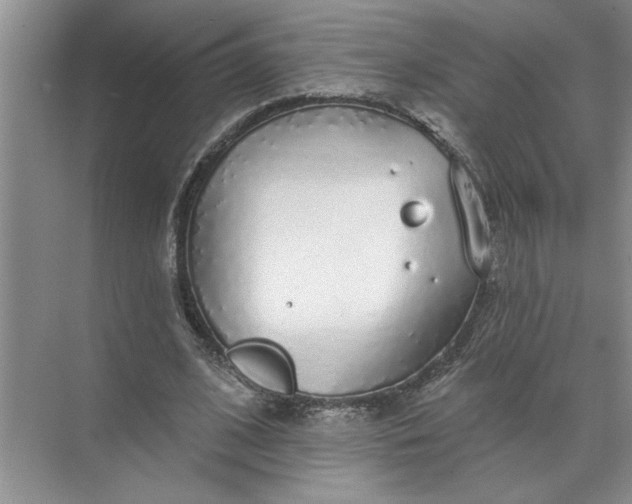 X0000072510584200607290134