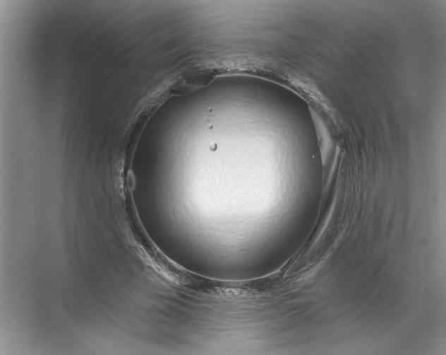 X0000072510585200607290134