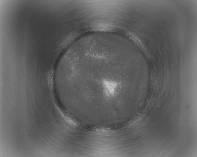 X0000072510586200607290134