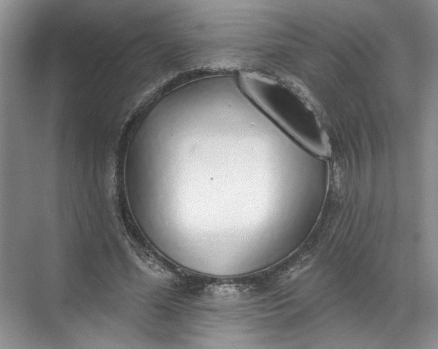 X0000072510588200607290134