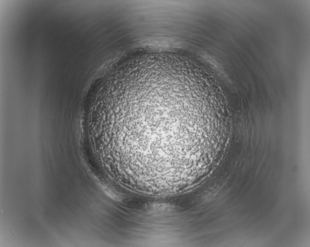 X0000072510590200607290134