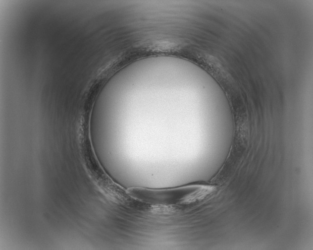 X0000072510591200607290134