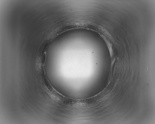 X0000072510593200607290134