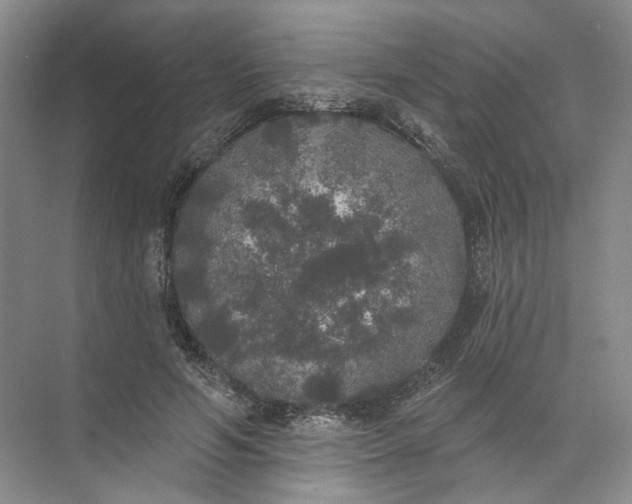 X0000072510594200607290134