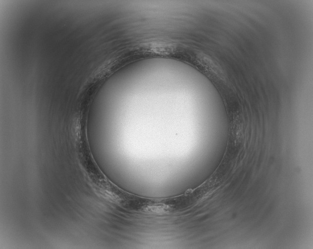 X0000072510595200607290134