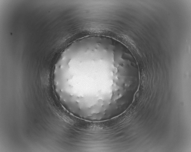 X0000072510596200607290134