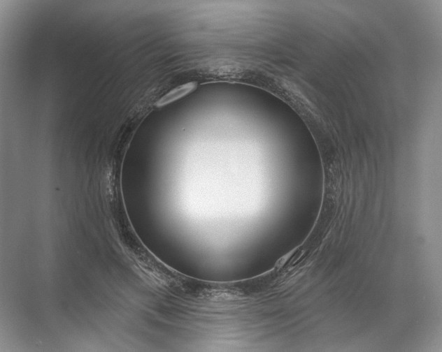 X0000072510597200607290134