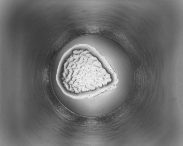 X0000072510598200607290134