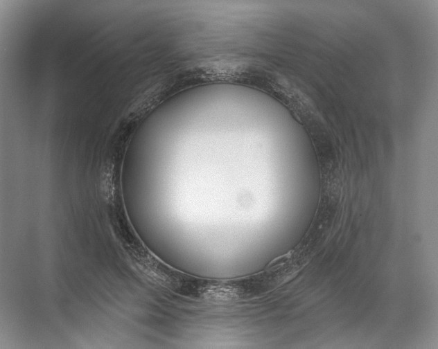 X0000072510599200607290134