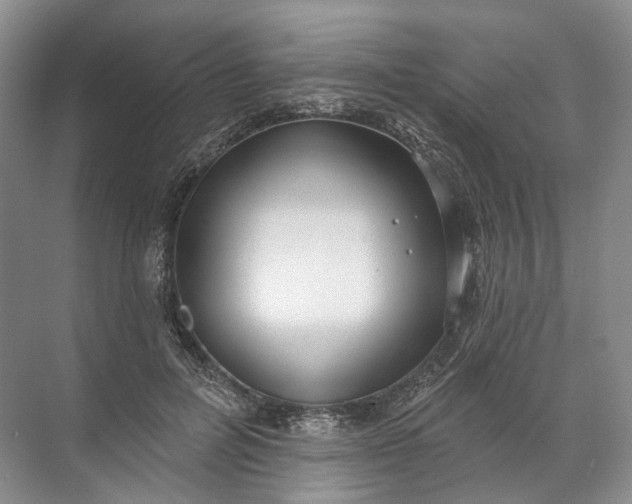 X0000072510600200607290134