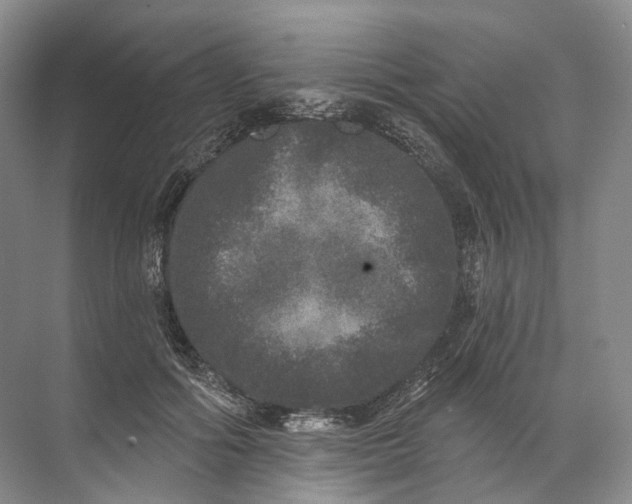 X0000072510602200607290134