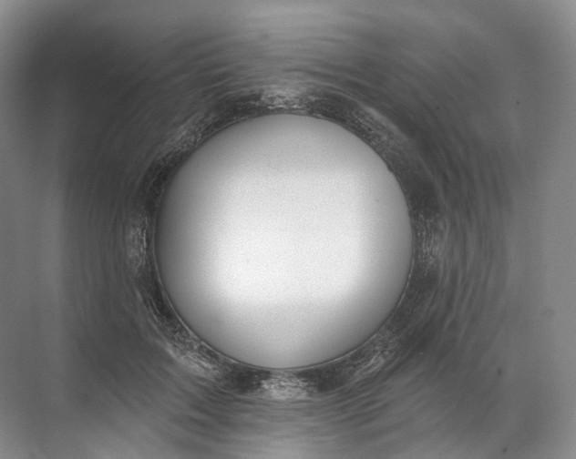 X0000072510603200607290134