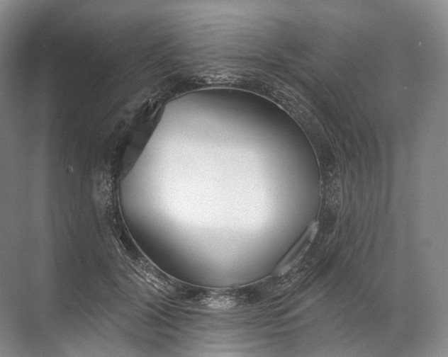 X0000072510604200607290134