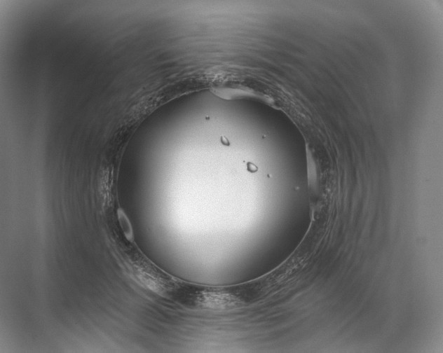 X0000072510605200607290134