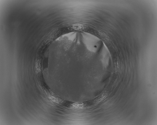 X0000072510606200607290134