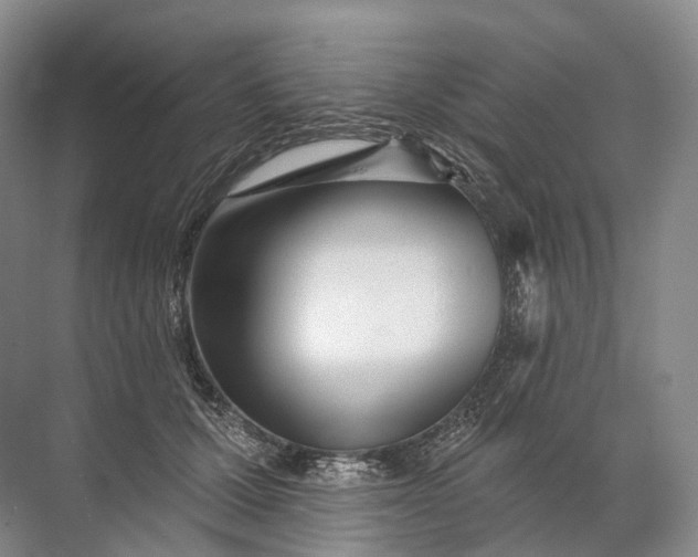 X0000072510607200607290134