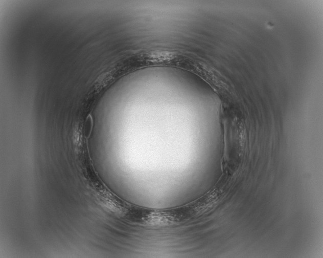 X0000072510608200607290134