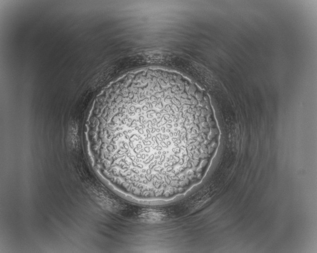 X0000072510610200607290134