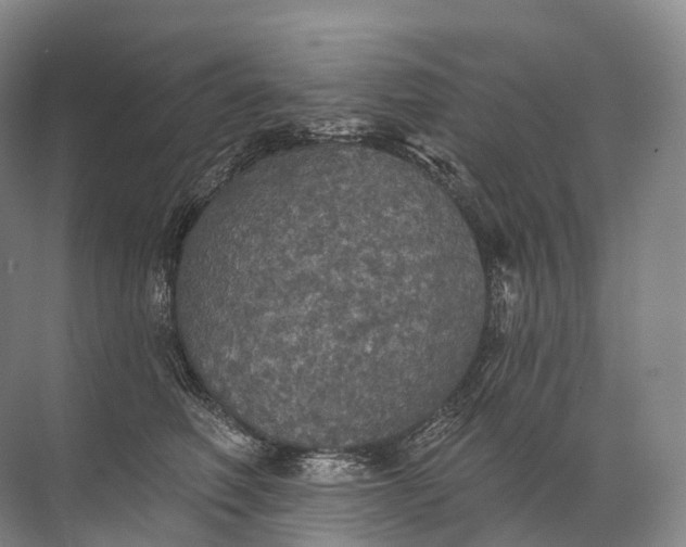 X0000072510614200607290134