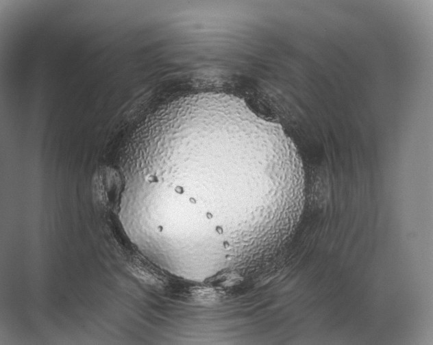 X0000072510616200607290134