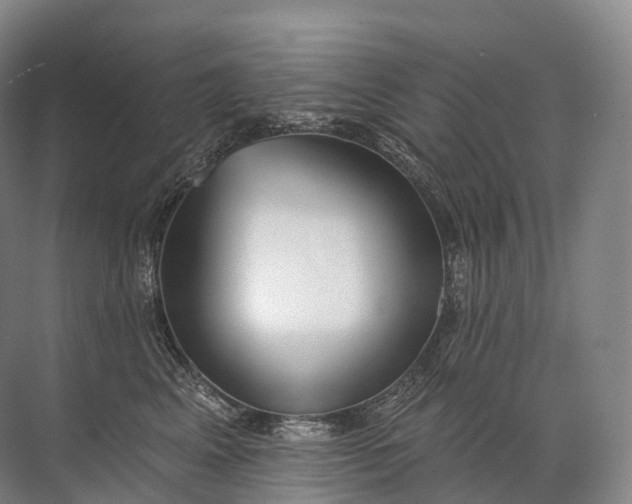 X0000072510617200607290134