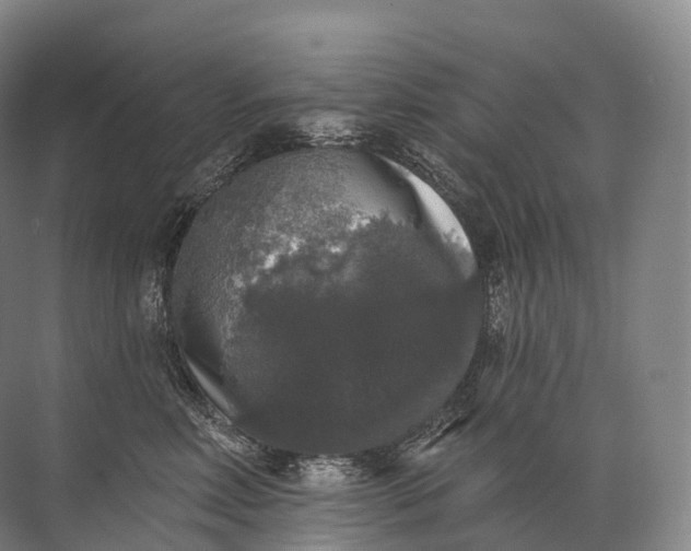 X0000072510618200607290134