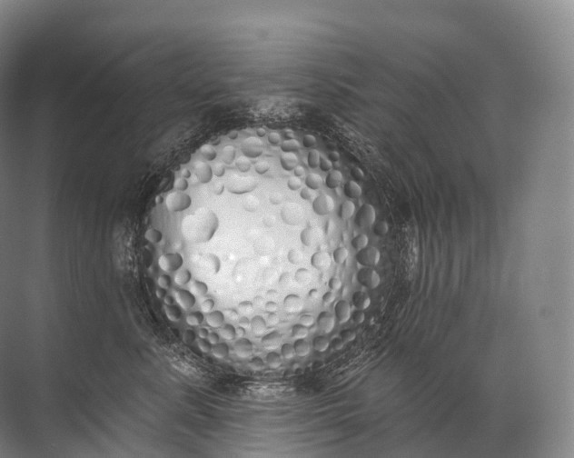 X0000072510619200607290134