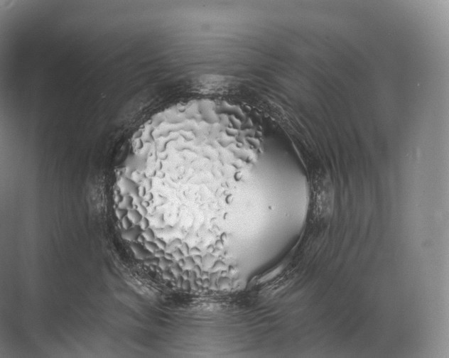 X0000072510620200607290134