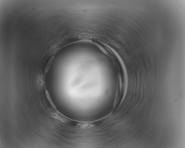 X0000072510621200607290134