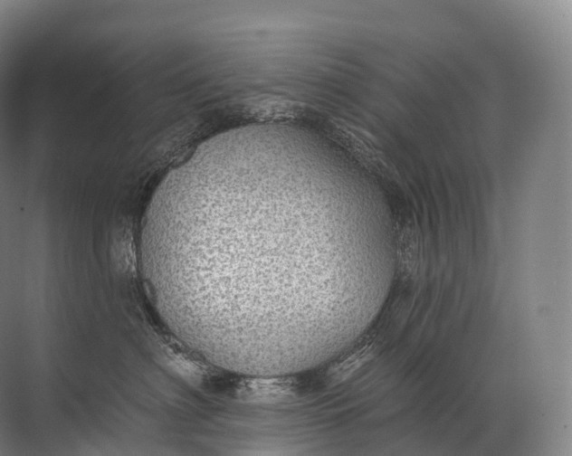 X0000072510622200607290134