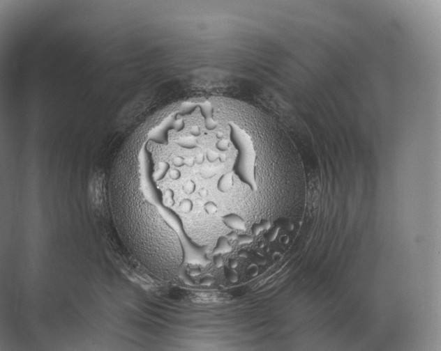 X0000072510623200607290134