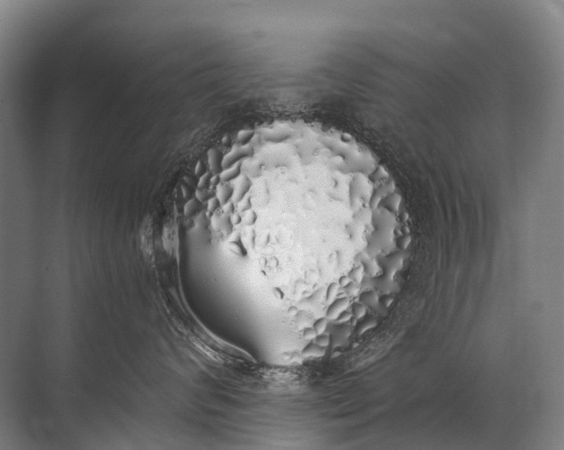 X0000072510624200607290134