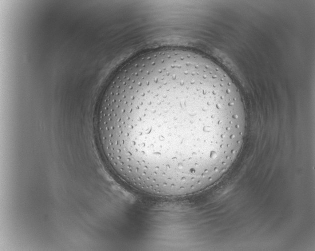 X0000072510625200607290133