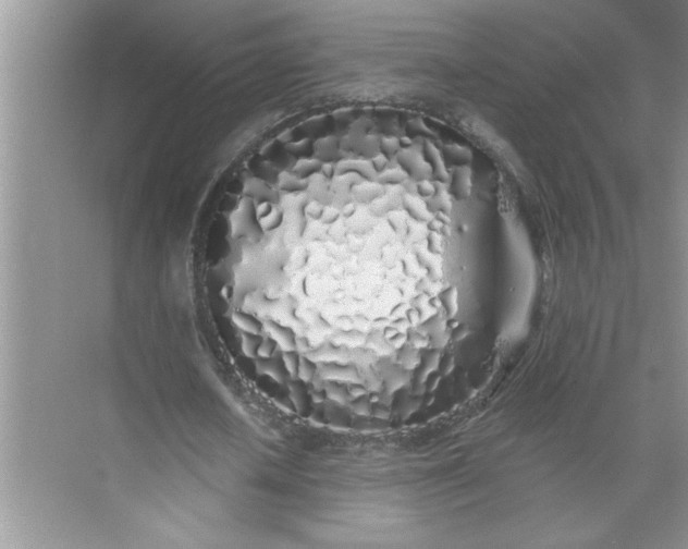 X0000072510626200607290133