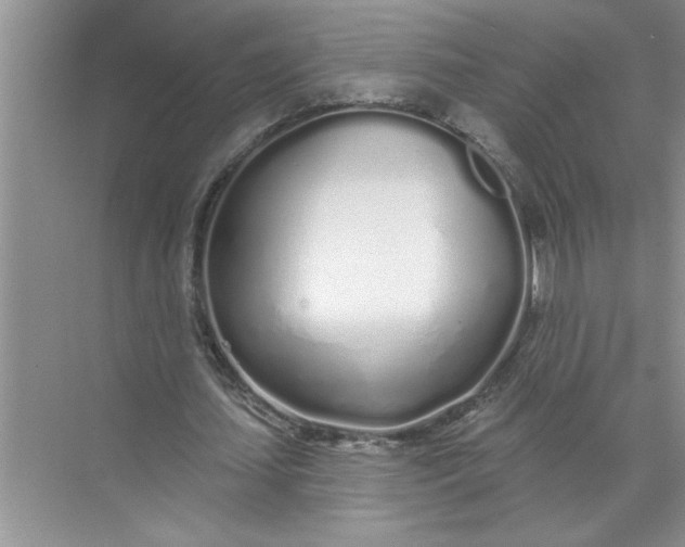 X0000072510627200607290133