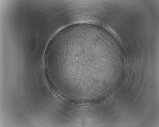 X0000072510628200607290133