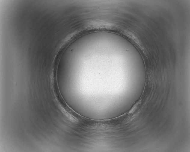 X0000072510629200607290133