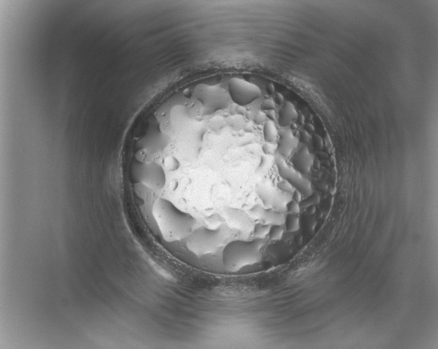 X0000072510630200607290133