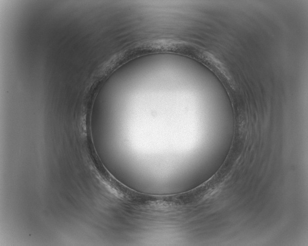 X0000072510633200607290133