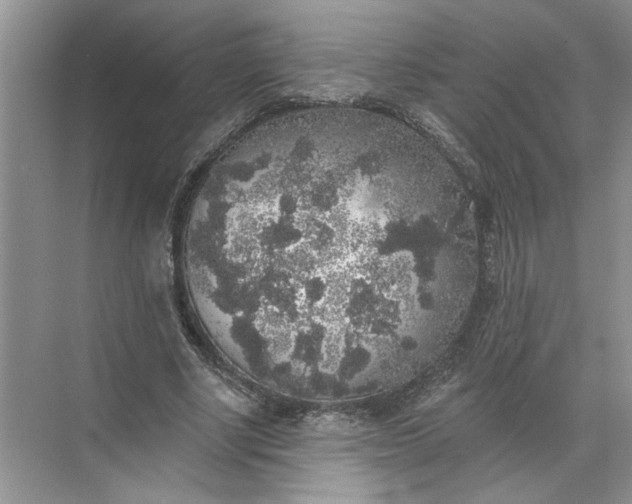 X0000072510634200607290133