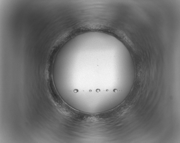 X0000072510635200607290133