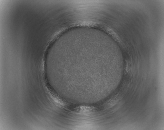 X0000072510636200607290133