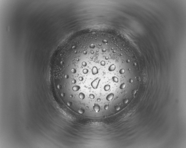 X0000072510637200607290133