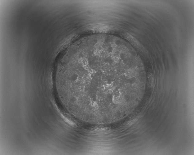 X0000072510638200607290133