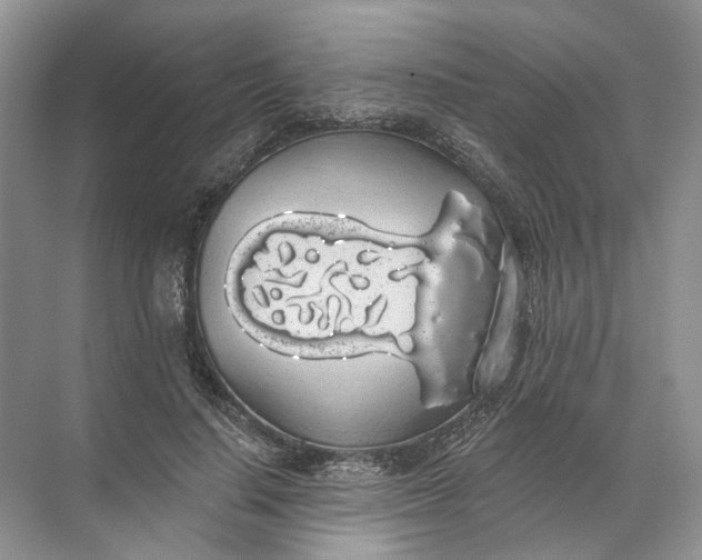 X0000072510644200607290133