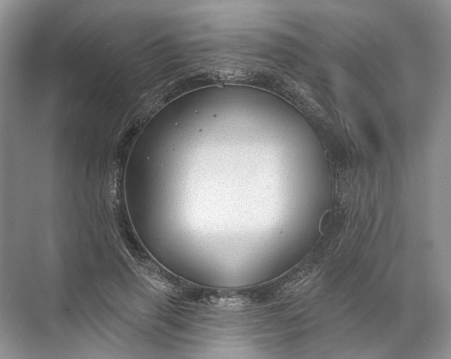 X0000072510645200607290133