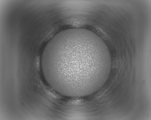 X0000072510646200607290133