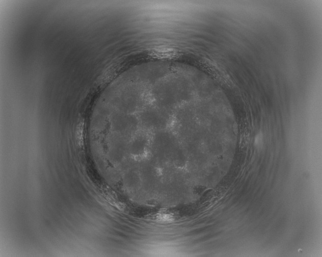 X0000072510647200607290133